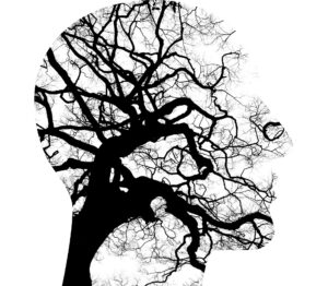 Psicologia: a ciência do comportamento humano.